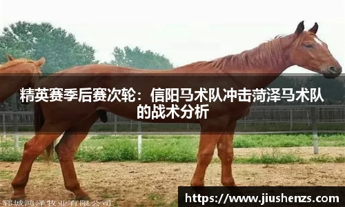 精英赛季后赛次轮：信阳马术队冲击菏泽马术队的战术分析